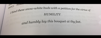 The Miraculous 54 Day Rosary Novena to Our Lady Hardcover by Christopher Hallenbeck